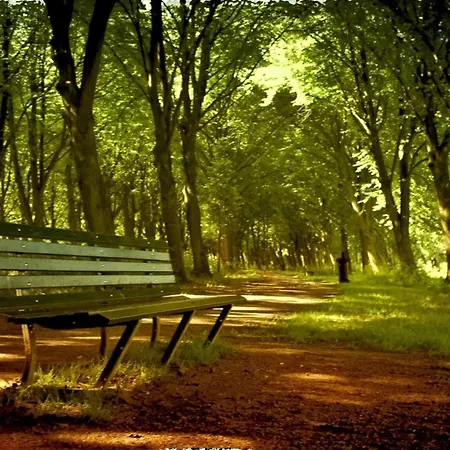 Nova Houseboat Deluxe Free Bikes