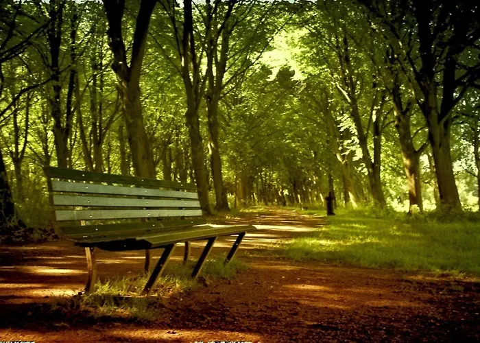 Nova Houseboat Deluxe Free Bikes