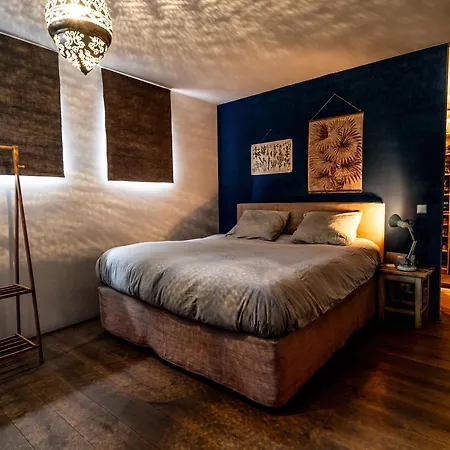 Nova Houseboat Deluxe Free Bikes